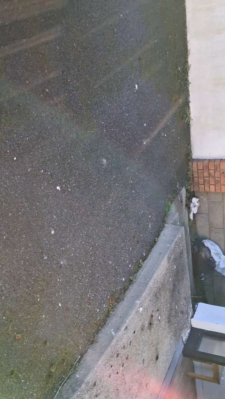 Evergreen Property Maintenance recent work