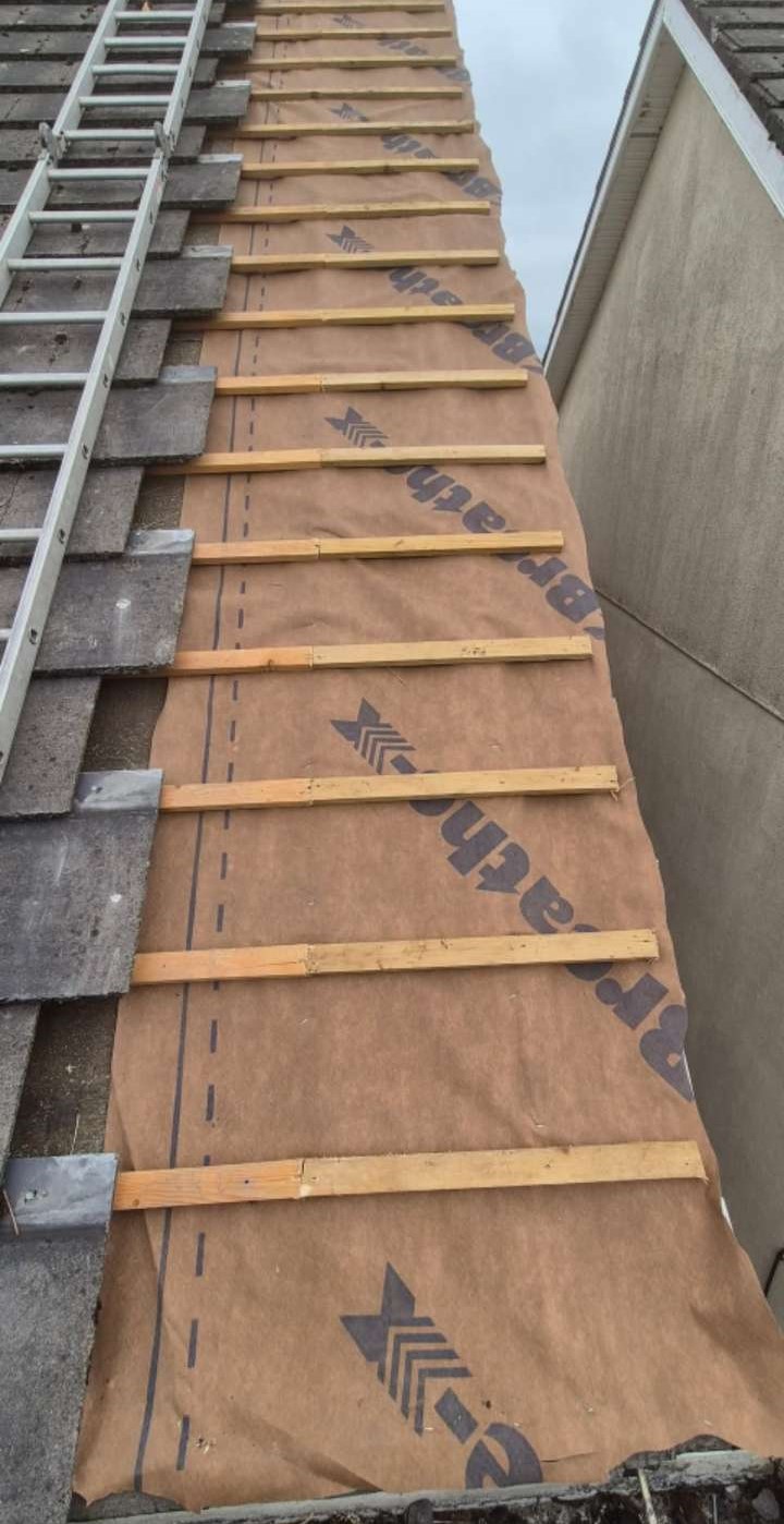 Roof cleaning