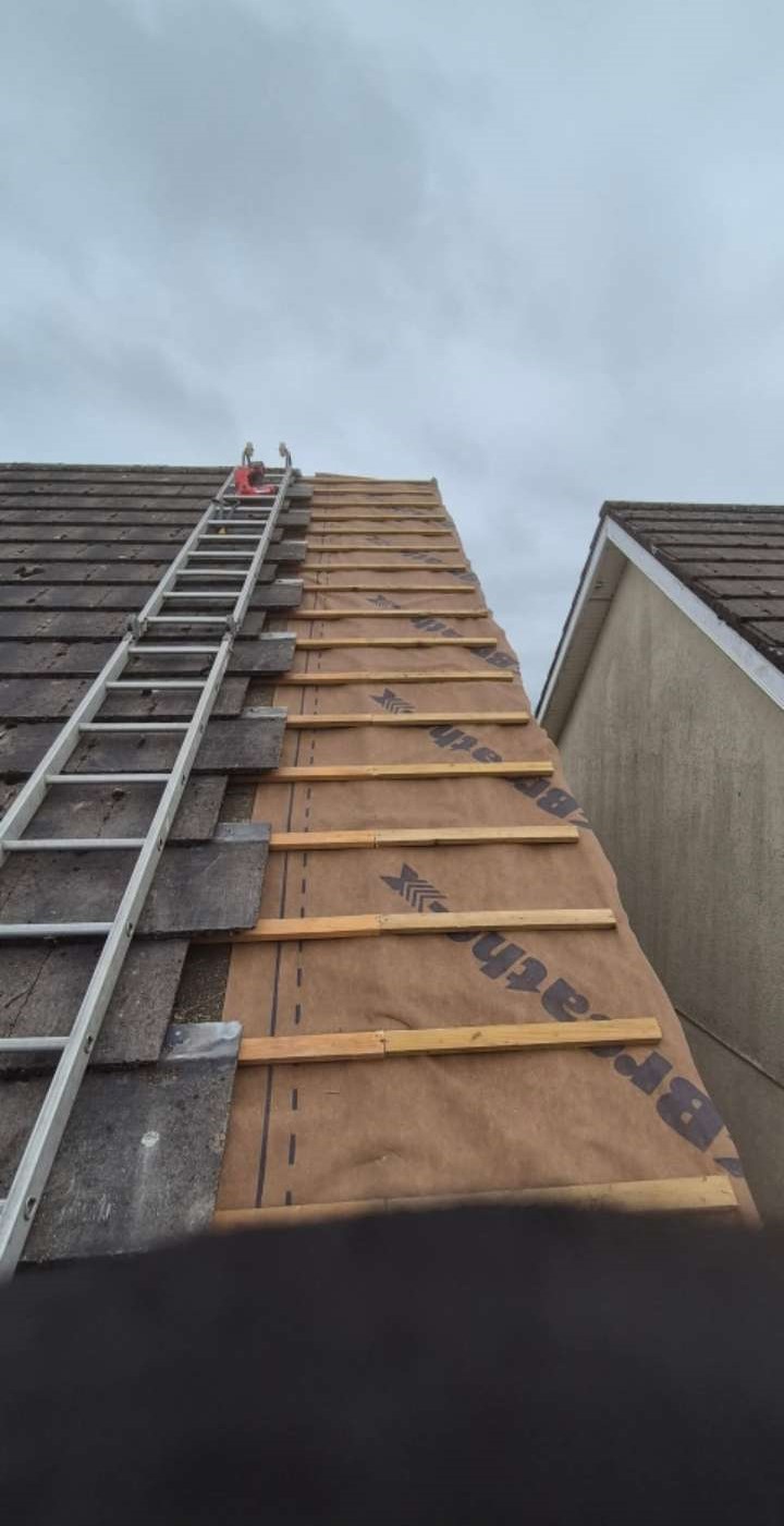 Roof cleaning