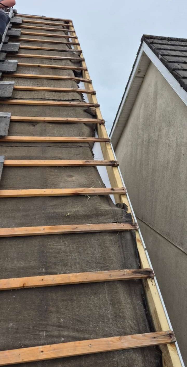 Roof cleaning