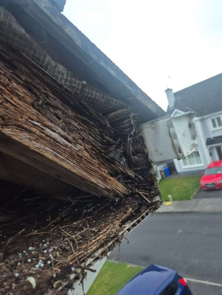 Roof cleaning