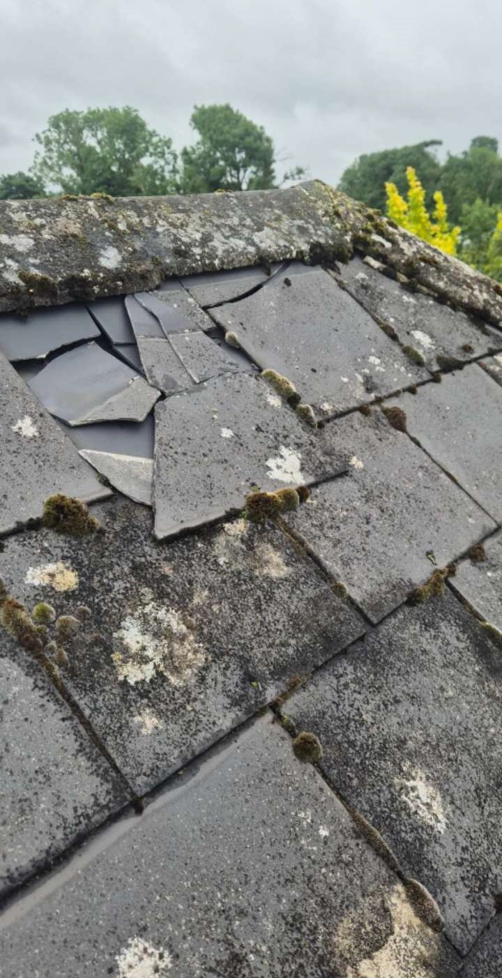 Roof cleaning