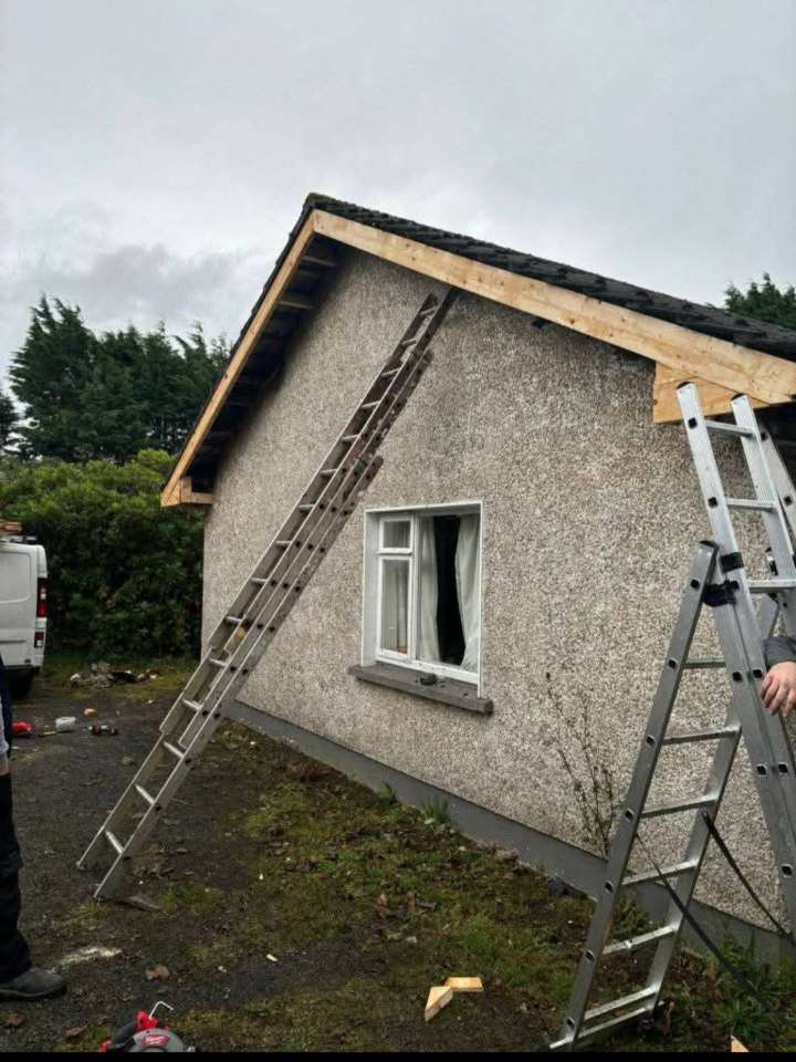 Roof cleaning